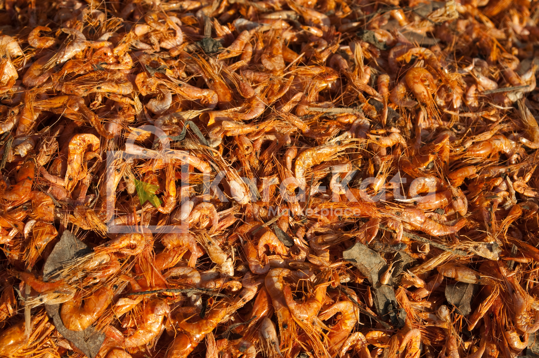 Dried Red Shrimps